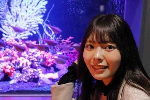 水族館2