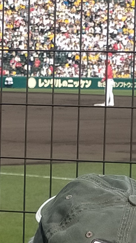 IMG20250420161316