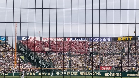 IMG20250420151108