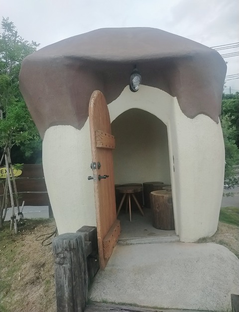 25-08-07-17-33-29-854_deco