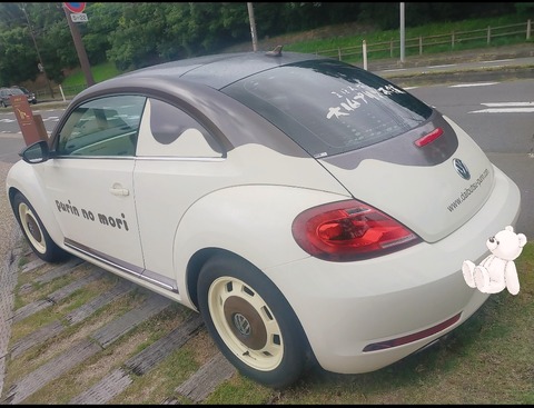 25-08-07-17-33-03-479_deco