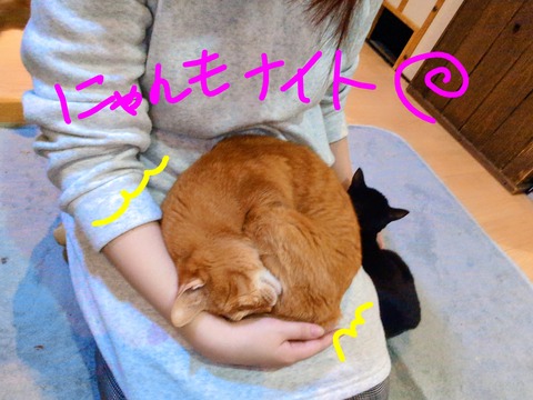 BeautyPlus_20260318153900456_0_save~2