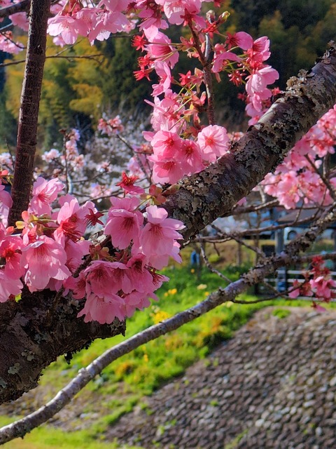 BeautyPlus_20260405155551384_0_save