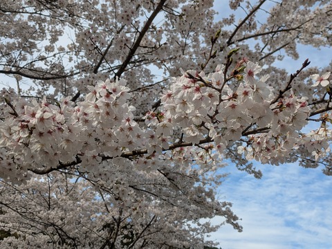PXL_20260405_064912738