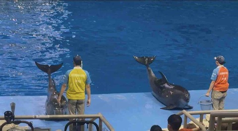 FullSizeRender