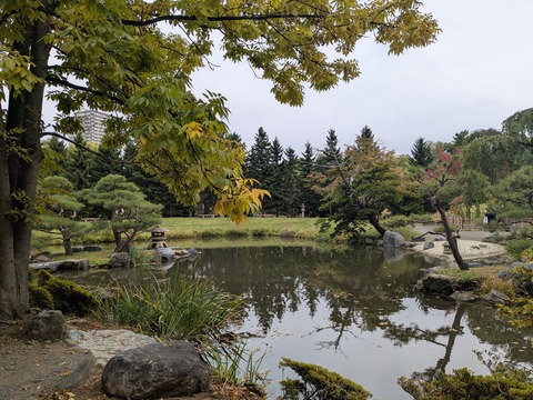 PXL_20251012_045818194