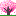流れ星