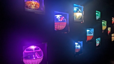1000022585