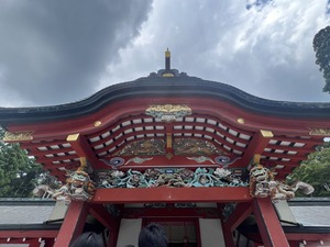 IMG_2393