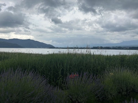 image3