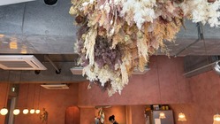 S__204496903_0